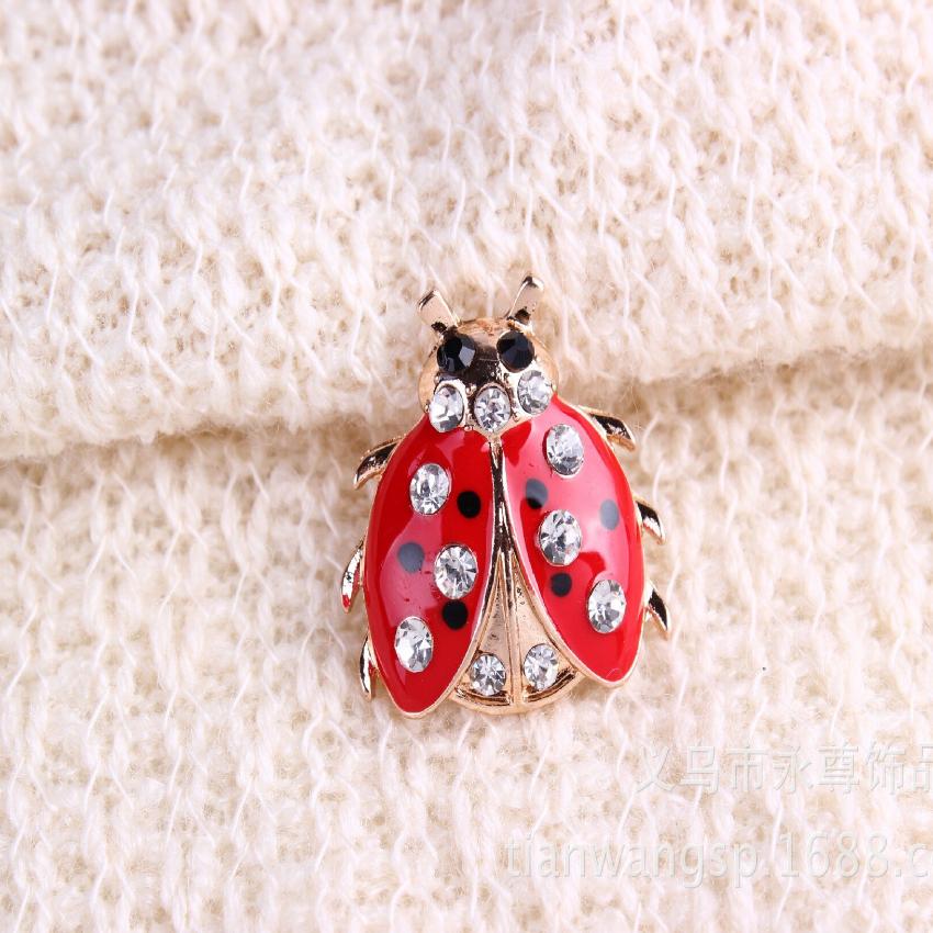 Ma coccinelle