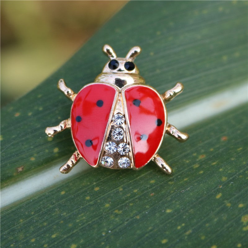 Ma coccinelle